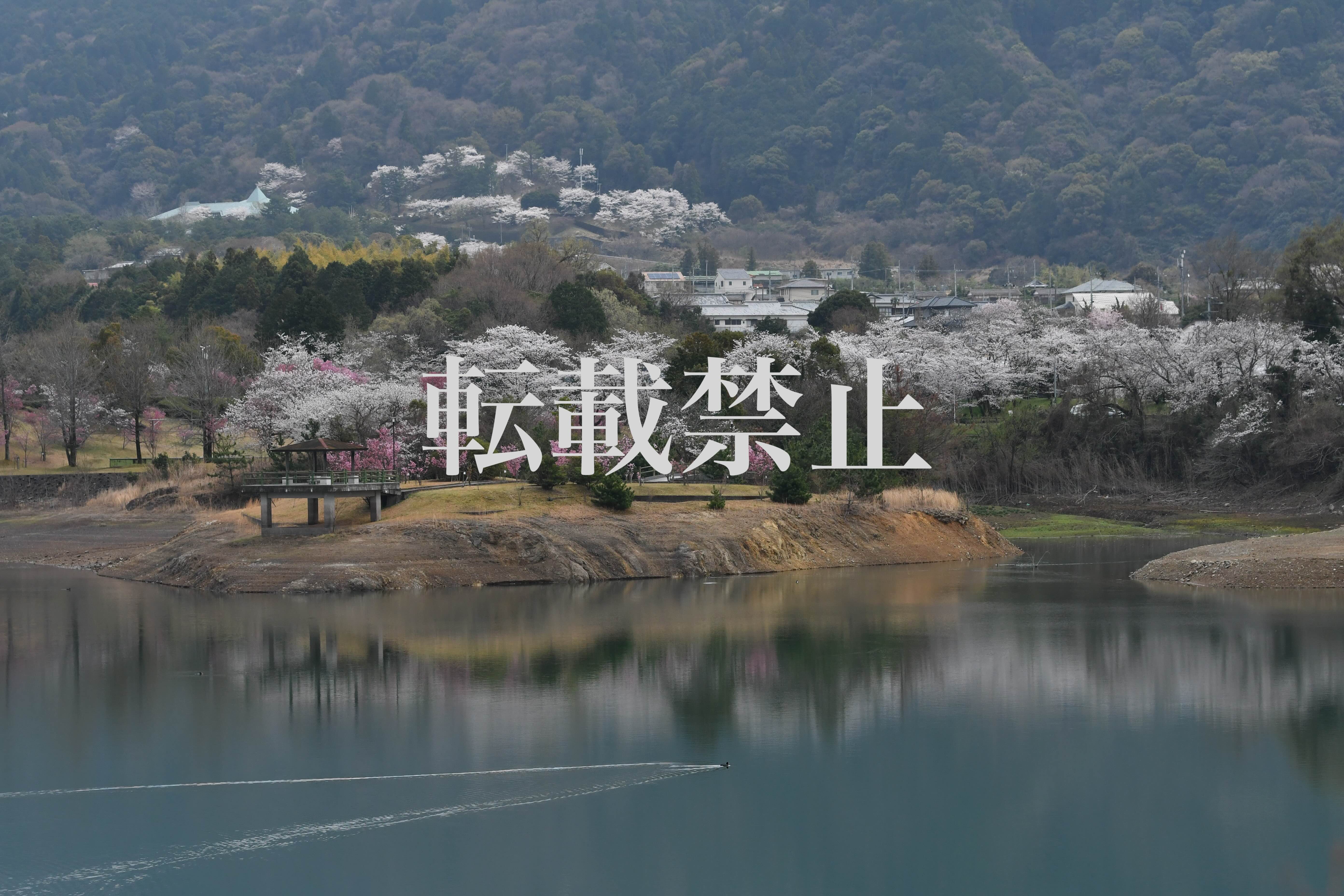 Selected Work: "Night at the Loop Bridge"