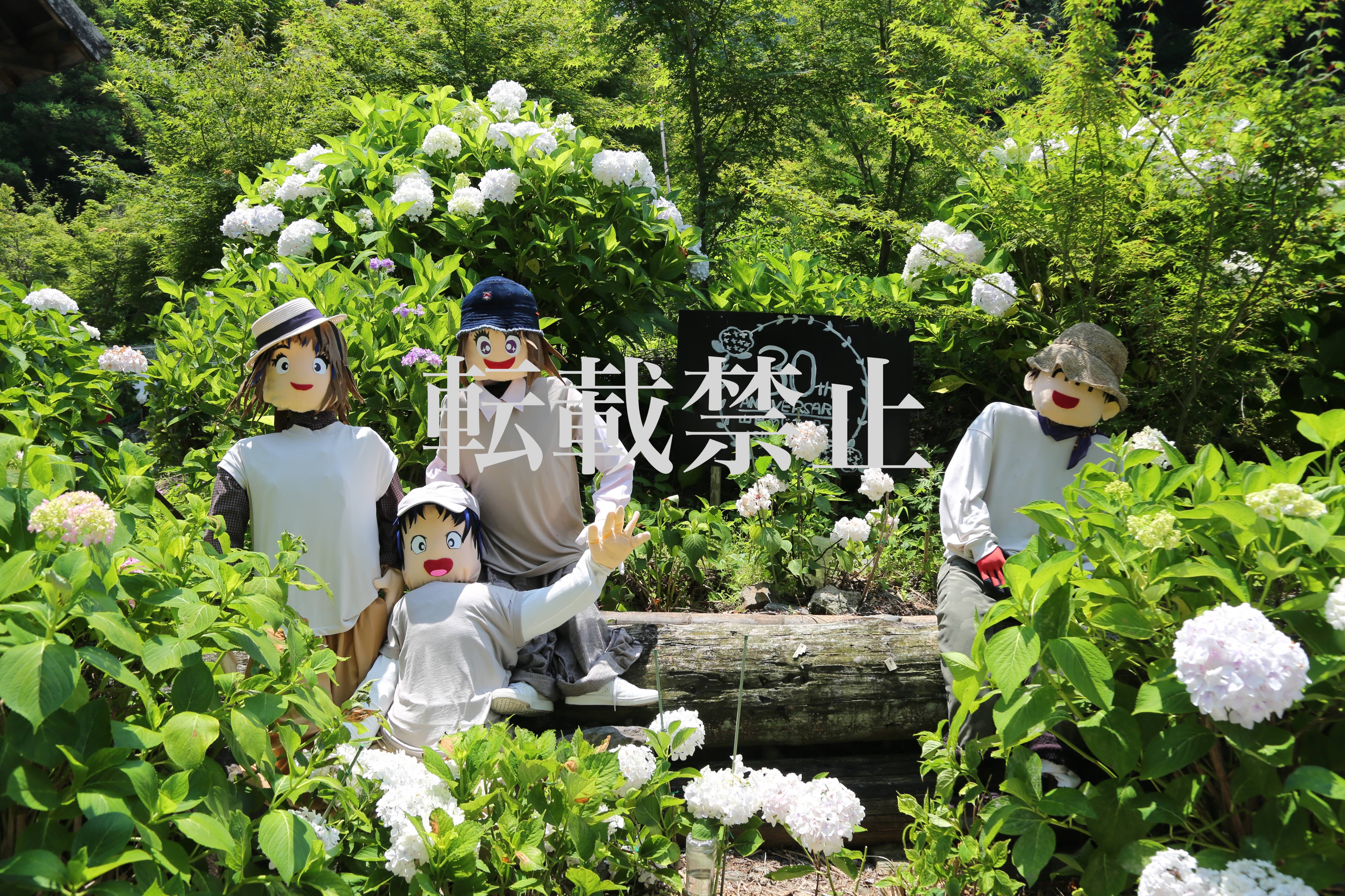 Selected Work: "Autumn, a Scenery Our Ancestors Saw"