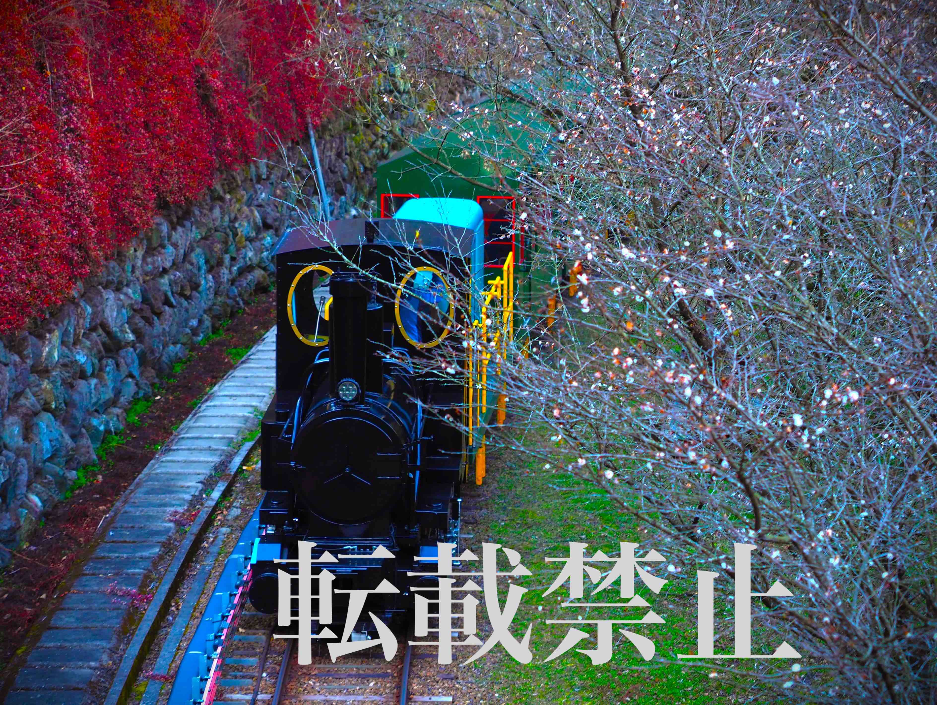 2024-calendar-photo-contest-winners