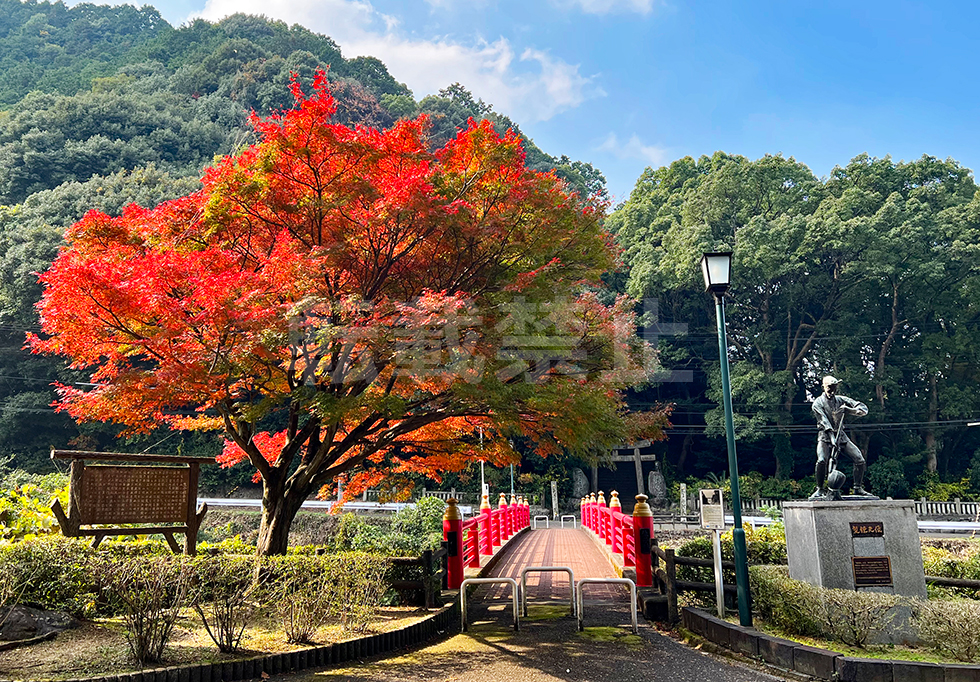 Selected "Ikuko Bridge leading to Autumn"