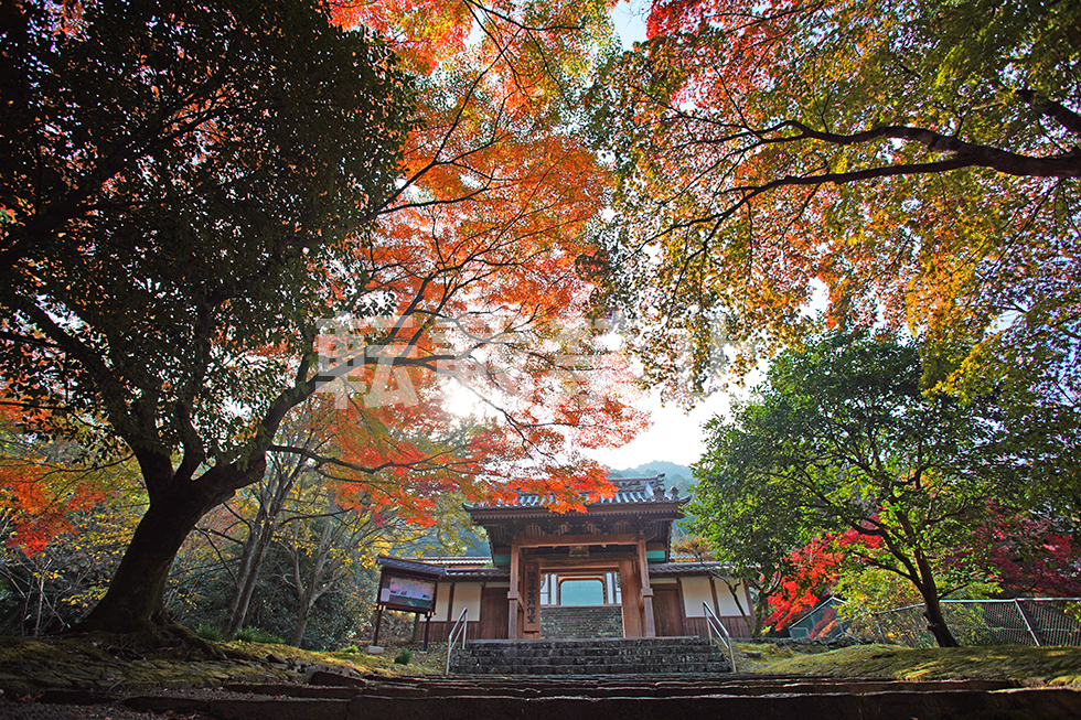 Selected "Zuioji Temple"
